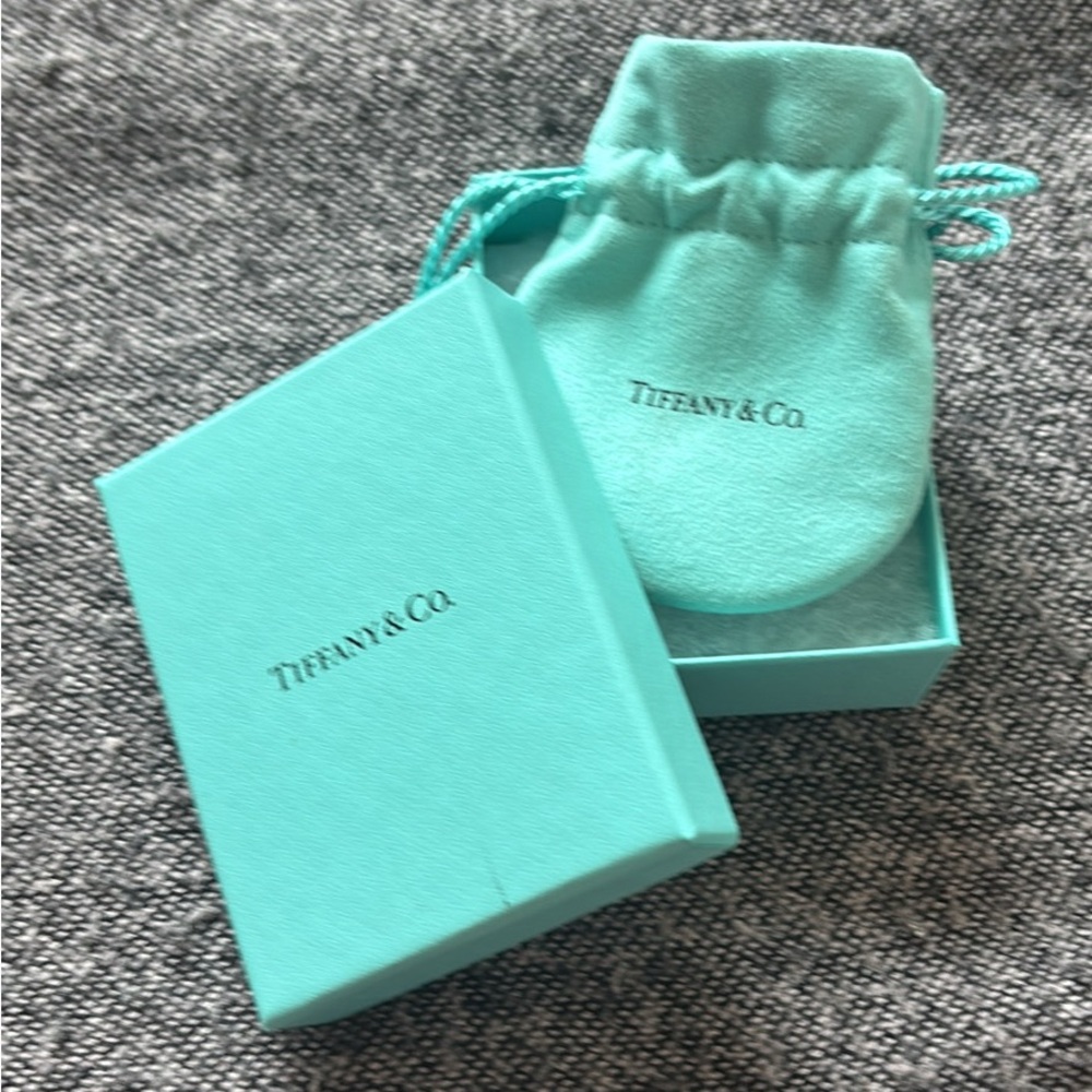 Tiffany & Co. Earrings in Iconic Blue Box